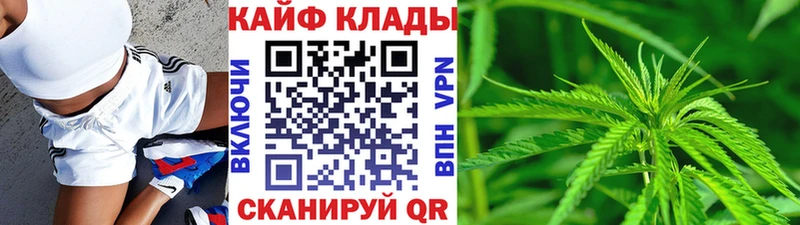 Наркошоп купить COCAIN  МЕФ  Марихуана  Бердск