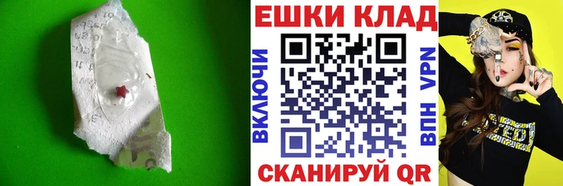 Экстази Philipp Plein  Купить закладки  Бердск 