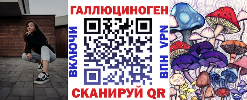 Галлюциногенные грибы Psilocybine cubensis  Купить закладки  Бердск 